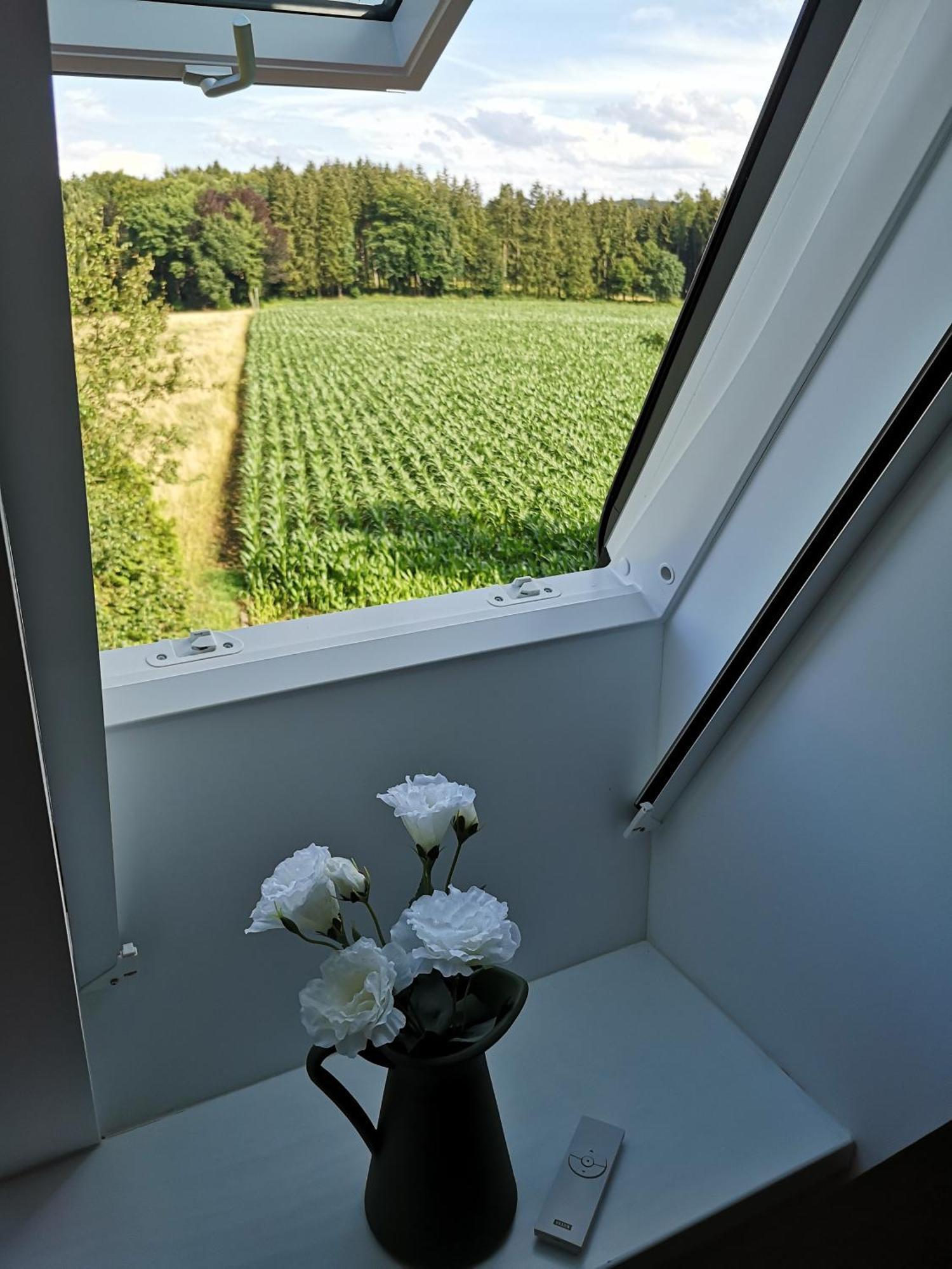 Ferienwohnung Gruene Oase Im Teutoburger Wald Georgsmarienhütte Exterior foto