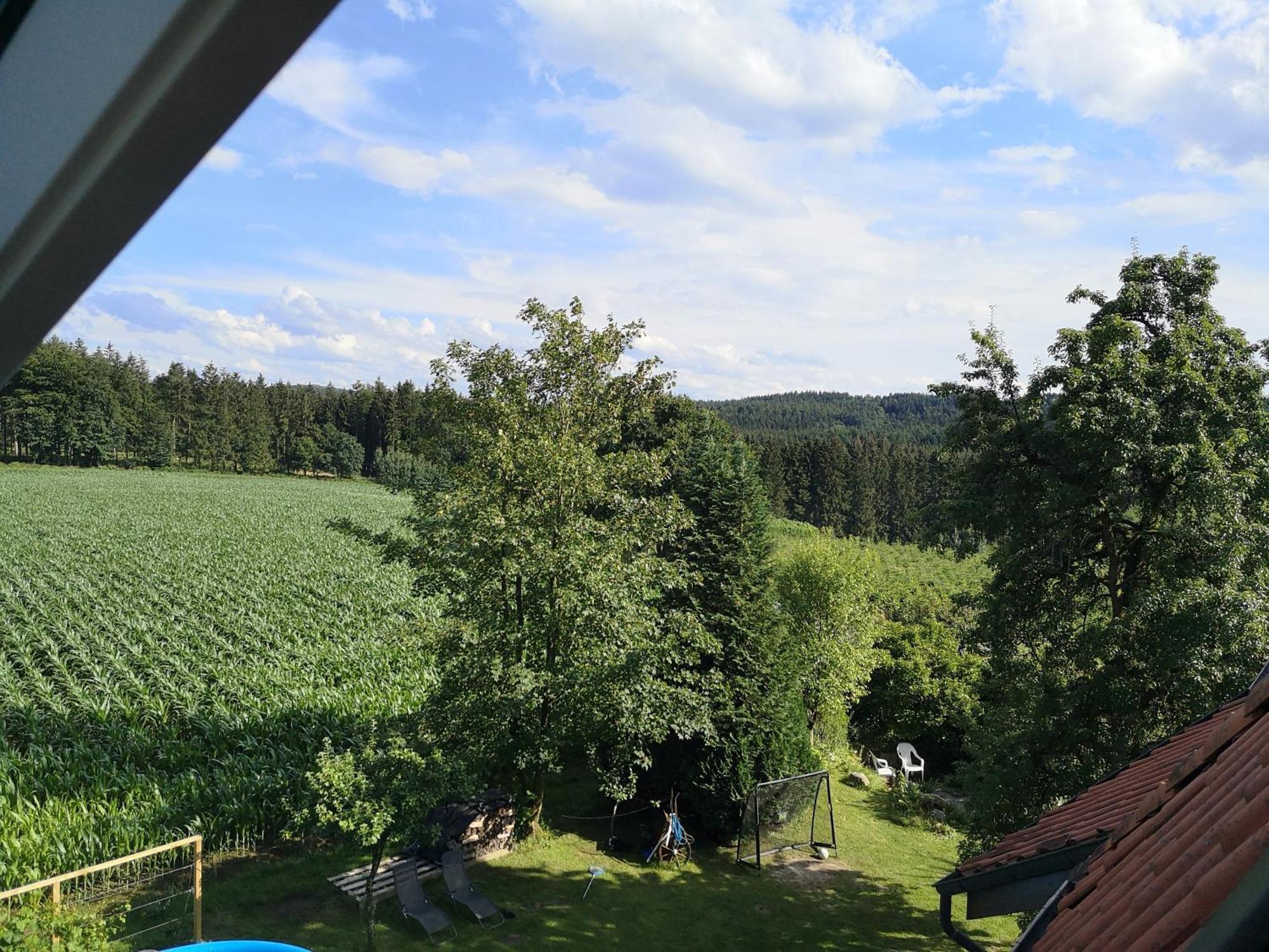 Ferienwohnung Gruene Oase Im Teutoburger Wald Georgsmarienhütte Exterior foto